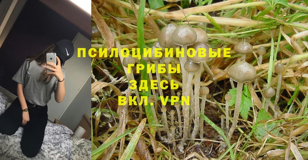 бошки Михайловка