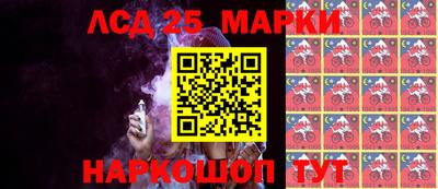 гидропоника Камышлов