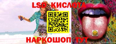 гидропоника Камышлов