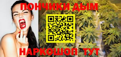 гидропоника Камышлов