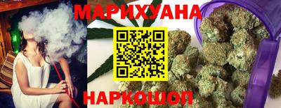 гидропоника Камышлов