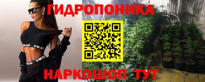 гидропоника Камышлов