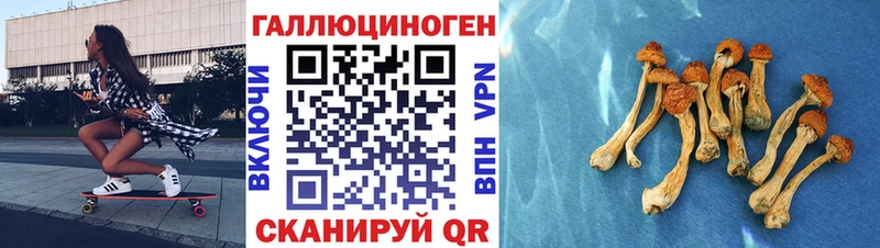 Галлюциногенные грибы прущие грибы Нальчик