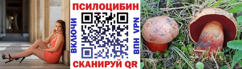 Галлюциногенные грибы Psilocybine cubensis  где продают наркотики  Нальчик 
