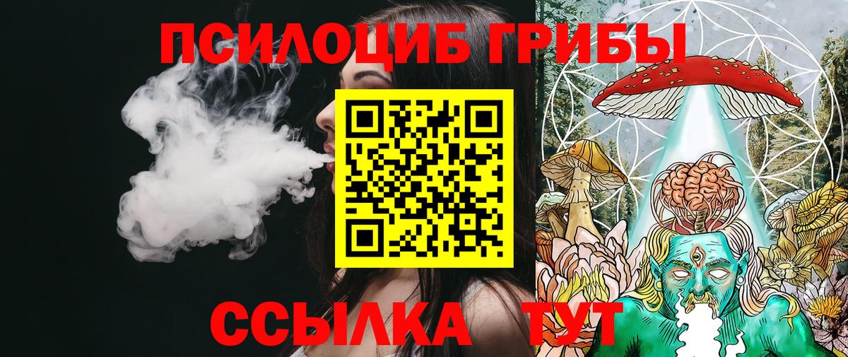Галлюциногенные грибы прущие грибы Нальчик