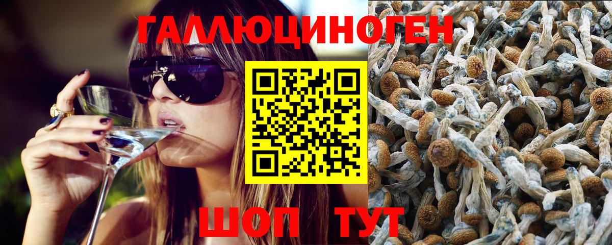 Нальчик  Псилоцибиновые грибы ЛСД  Вход с VPN  Псилоцибиновые грибы мухоморы 